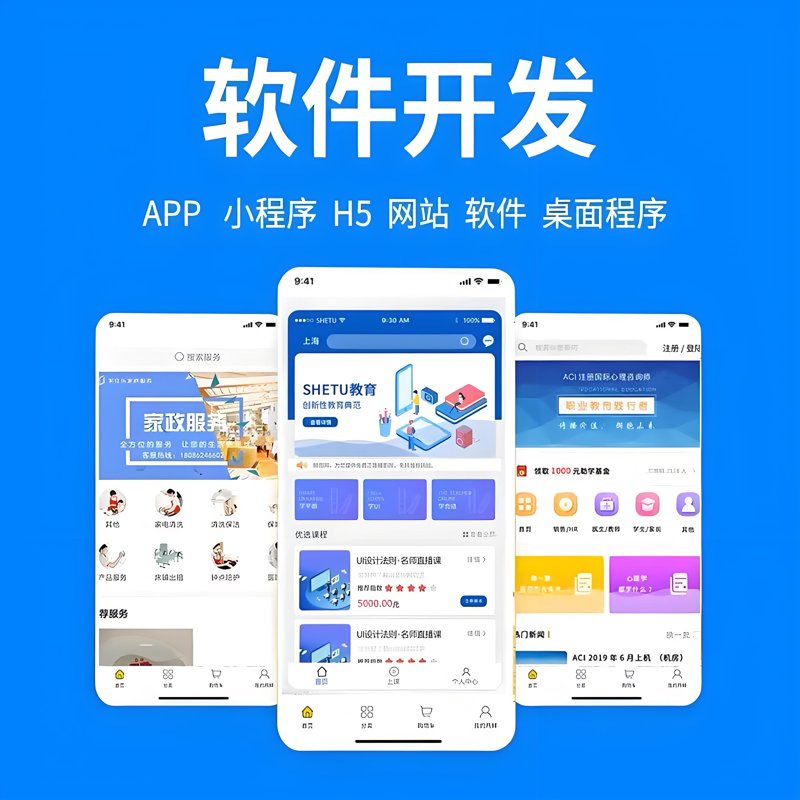 软件定制开发：助力企业精准航行